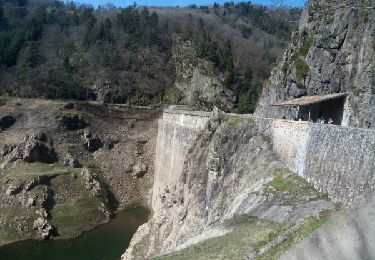 Randonnée Marche Le Bessat - Croix de Chaubouret - Photo