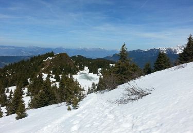 Randonnée Raquettes à neige Crêts-en-Belledonne - Le Grand Rocher (anf 2017) - Photo