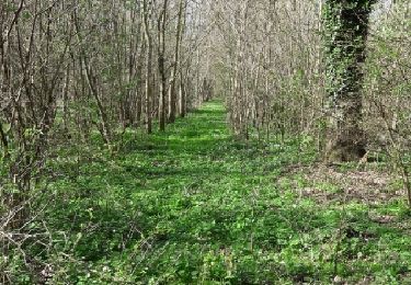 Tocht Andere activiteiten Zinnik - thieusie - Photo