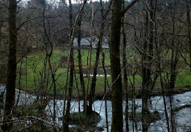 Randonnée V.T.T. Paliseul - Maissin Lesse Maissin (12km) - Photo