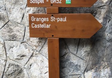 Randonnée Course à pied Menton - Menton Castellar en boucle  - Photo