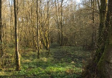 Tocht Stappen Couvin - Les Géronsarts  - Photo