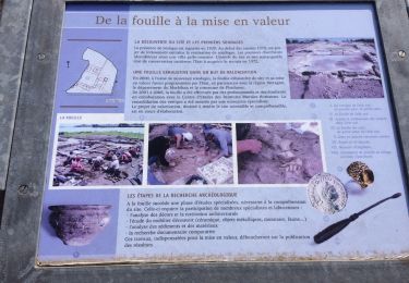 Tocht Andere activiteiten Plouhinec - balade autour du camping le moteno - Photo