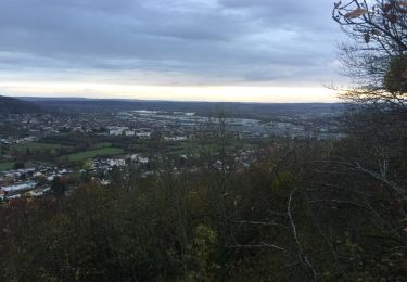 Tocht Andere activiteiten Échenoz-la-Méline - plateau cita - Photo