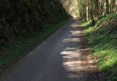 Tocht Stappen Modave - Vierset-Barse et ses 4 denivelés de marche - Photo