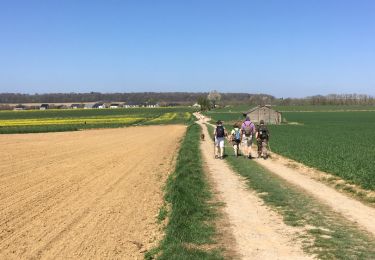 Trail Walking Mettet - Balade à Ermeton-sur-Biert - Photo