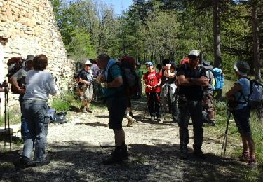 Tour Wandern Peyruis - La Haute Sautée au départ du Pont Bernard  - Photo