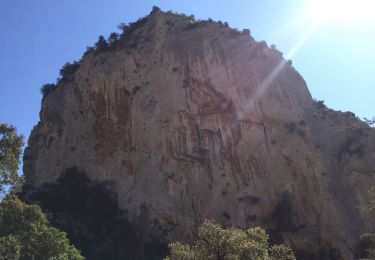 Tour Wandern Cheval-Blanc -  vidauque - Photo