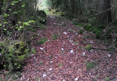 Tocht Andere activiteiten Bélesta - 9 au plus pres des mijanes et des caoujous - Photo