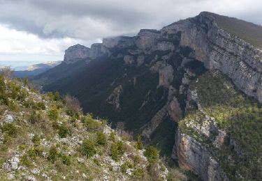 Tour Wandern La Chapelle-en-Vercors - Boucle au belvédère le Revoulat par le rocher d'Echevis - Photo