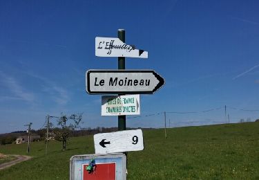 Excursión Senderismo Plombières-les-Bains - 2017 04 27 plombières - Photo