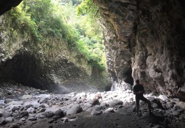 Randonnée Marche Entre-Deux - bras de la plaine Ilet Arnaux Antoine  - Photo