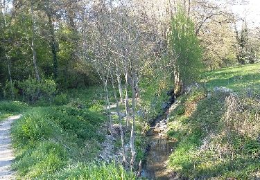 Trail Walking Rochefort - Han-sur-Lesse Great Golden 29 04 2017 - Photo