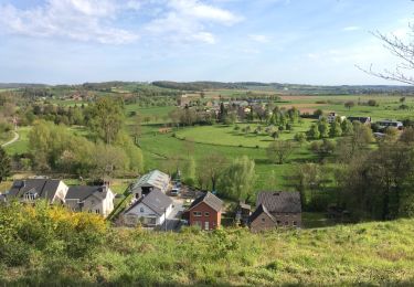 Trail Walking Voeren - Fouron-le-Comte - Photo