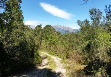 Trail Walking Zonza - sentier di Carbini - Photo
