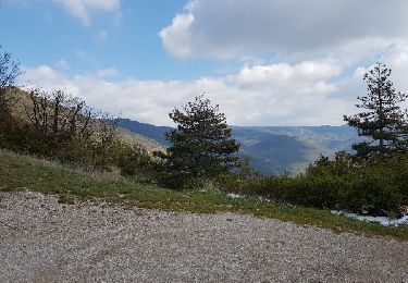 Excursión Bici de montaña Recoubeau-Jansac - 28-04-2017 Recoubeau - Col de Pennes - Photo