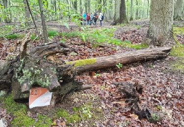Tocht Andere activiteiten Bois-d'Arcy - rando du 4 5 2017 - Photo