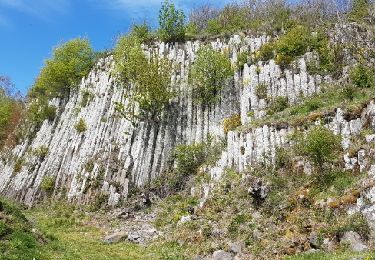 Trail Walking Orcines - Orcine-Montrodeix_T - Photo