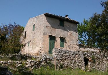 Tocht Stappen Saint-Zacharie - Le mont olympe de Saint Zacharie - Photo