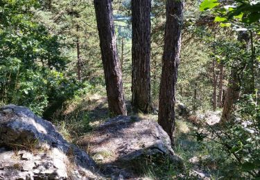 Tour Wandern Viroinval - La découverte de la Calestienne – La roche du Pas - Photo