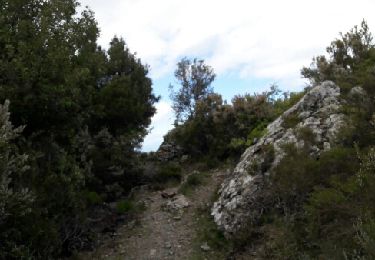 Trail Walking Valle-di-Campoloro - 20 CERVIONE SCUBICCIA - Photo