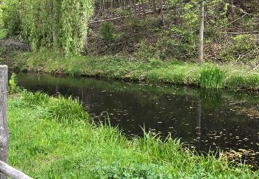 Tocht Stappen Gertwiller - landsberg - Photo