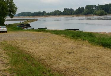 Trail Walking Vair-sur-Loire - 2017-05-11 Les Cosniers VO - Photo