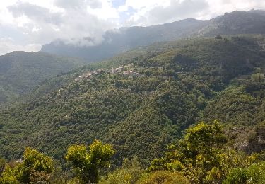Trail Cycle Olmeta-di-Tuda - Col de Bigorno 14 05 2017 - Photo