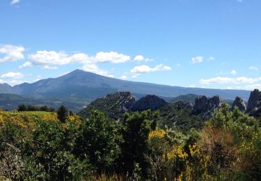 Tour Mountainbike Gigondas - dentelles de montmirail - Photo