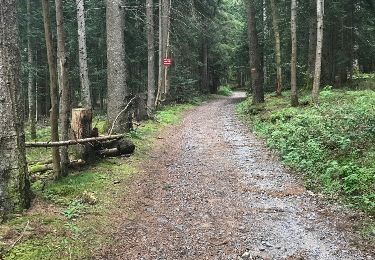 Trail Other activity Monlet - lac Malaguet - Photo