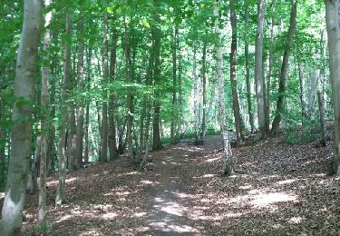 Trail Walking Rixensart - Genval 23 05 2017 Nathalie Demain - Photo