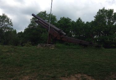 Excursión Senderismo Viroinval - 2017 05 24 Vierves viroivaloise - Photo