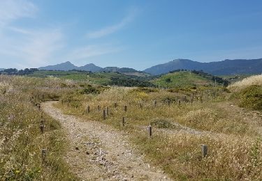 Trail Walking Argelès-sur-Mer - Le Racou-Collioure par le sentier du Littoral  - Photo