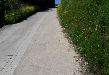 Trail Walking Escalles - boucle L'escale cap blanc nez Wissant L'escale  - Photo