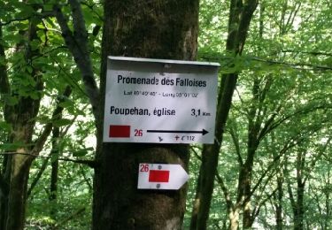 Tour Wandern Bouillon - ROCHEHAUT ( Echelles) - Photo