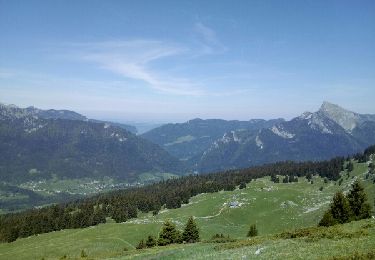 Tour Wandern Saint-Pierre-de-Chartreuse - col du coq à pravouta - Photo