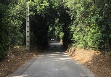 Tocht Stappen Six-Fours-les-Plages - Destination sentier du Mont Salva - Photo