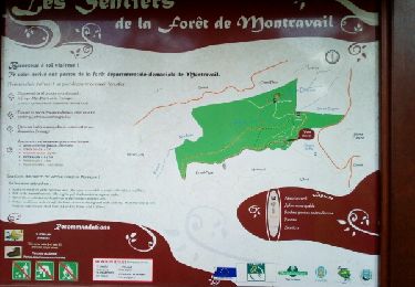 Trail Walking Sainte-Luce - Forêt Montravail Grande boucle - Photo