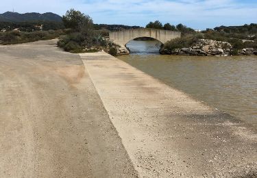 Randonnée Marche Six-Fours-les-Plages - Ile des Embiez - Photo