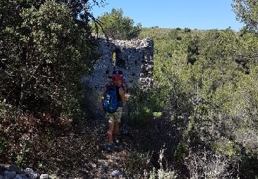 Trail Walking Allauch - Pichauris le punit de l'Aroumi - Photo