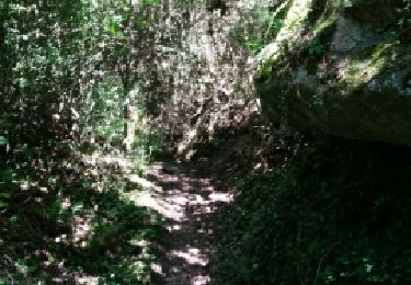 Trail Walking Hastière - HASTIERE (Blaimont) - Photo