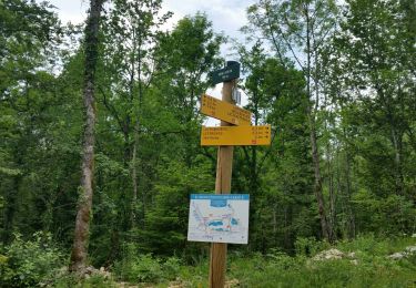 Trail Walking Le Frasnois - Pic de l'aigle 14,7 km 20170612 - Photo