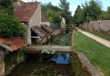 Tour Wandern Saint-Rémy-lès-Chevreuse - dim 11 juin 2017 St Rémy les Chevreuse - Photo