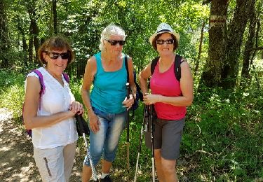 Trail Walking Châteldon - CLD-GM le 13-06-2017 - Photo