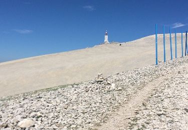 Excursión Senderismo Beaumont-du-Ventoux - Ventoux 2 - Photo