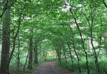 Tocht Stappen Ottignies-Louvain-la-Neuve - Ottignies 20 06 2017 Nathalie Demain - Photo