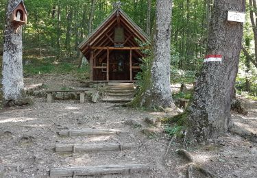 Trail Walking Thann - Waldkapelle - Photo