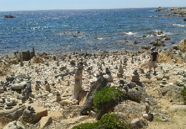 Excursión Senderismo Pianottoli-Caldarello - 20170614 bruzzi - Photo