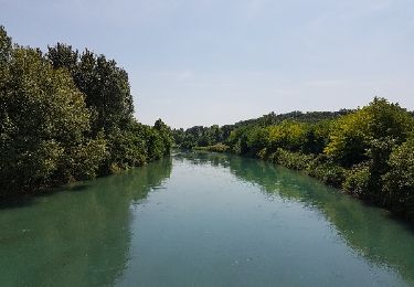 Excursión Bicicleta Desenzano del Garda - Venetië dag 24 - Photo