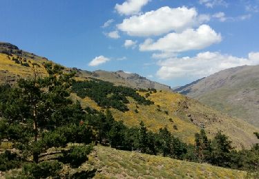 Trail Walking Dílar - Sierra Nevada jour 4 - Photo